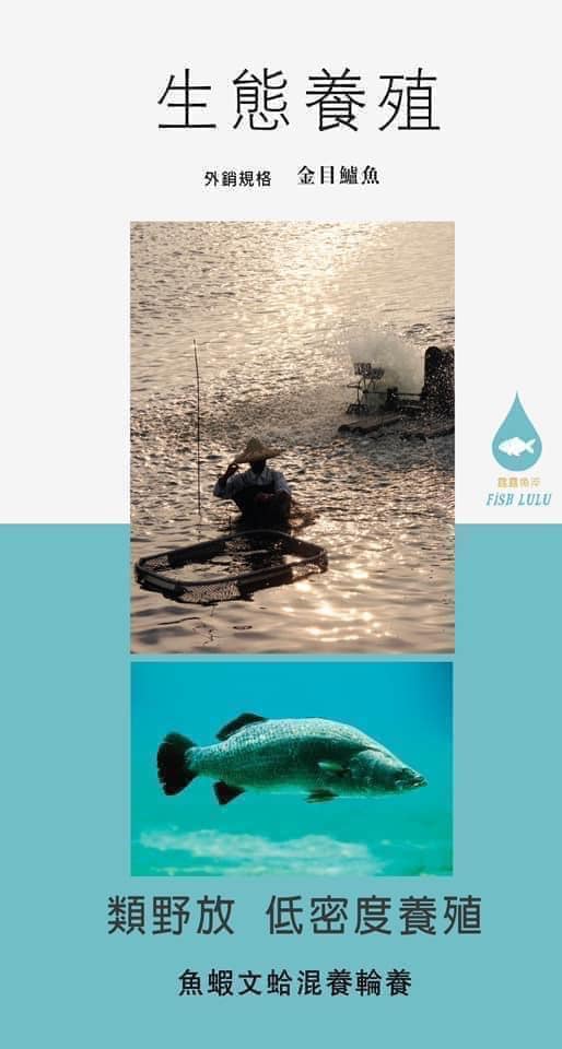 台灣 《牧田MU10》滴鱸魚精 Taiwan Sea Bass Essence(1 pack 1 serving/包60mL) - Free Shipping